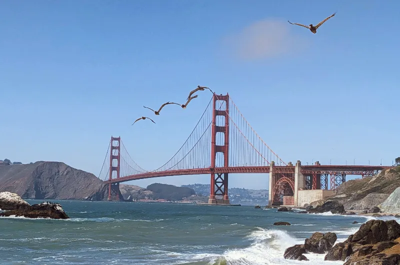 California · Плани та спонтанність